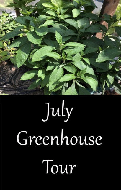greenhouse tour