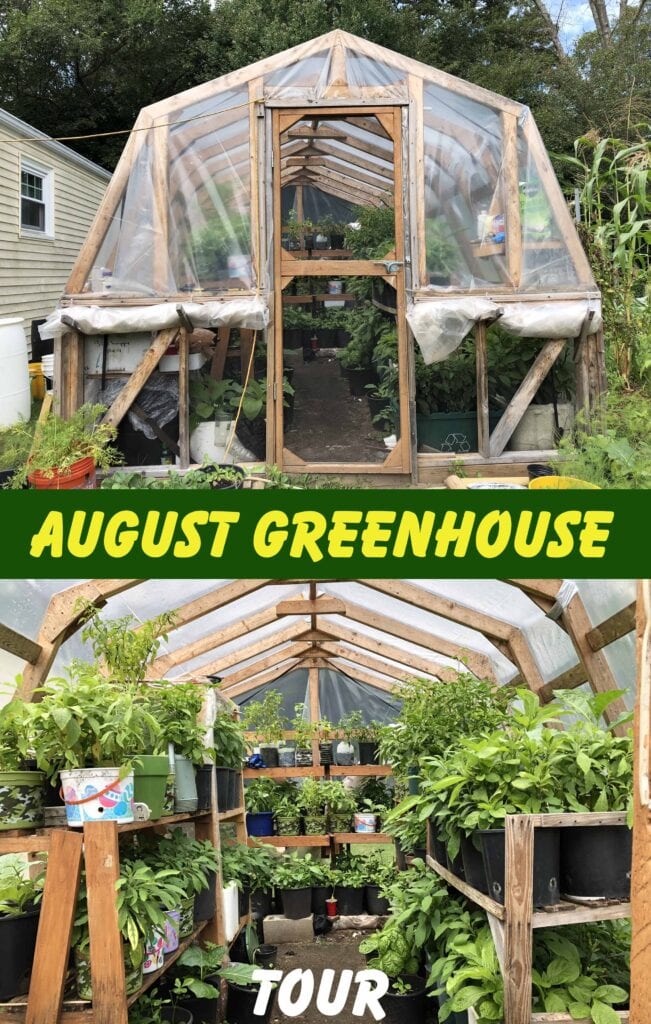 greenhouse gardening