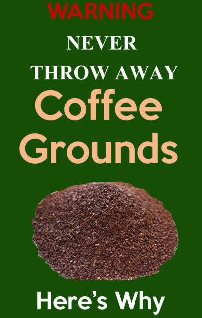 uses of coffee grounds in the garden