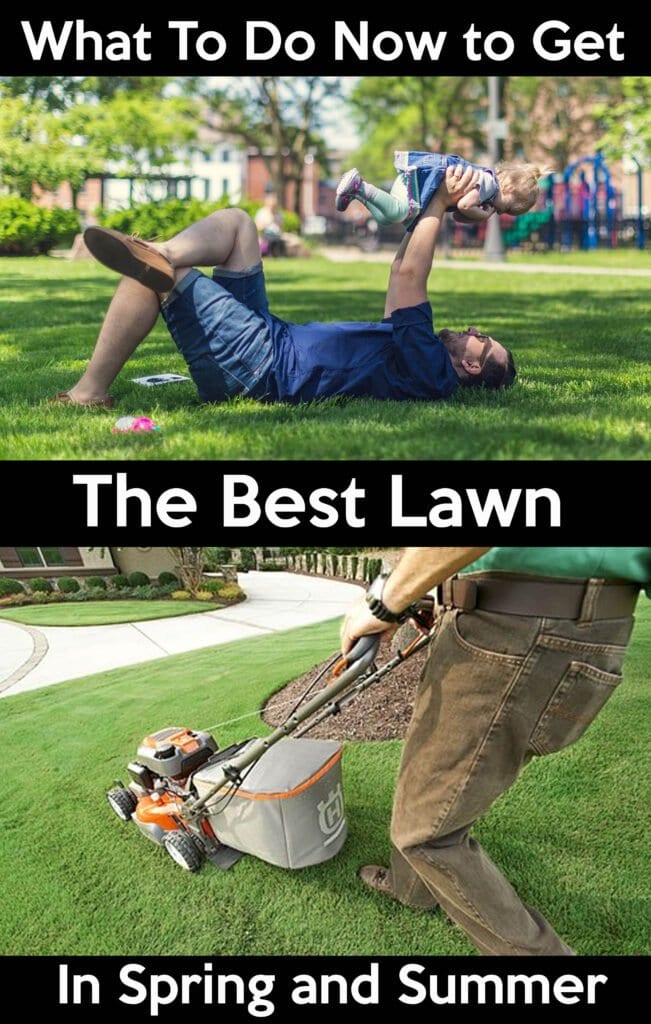 lawn care pic