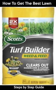 scotts turf builder