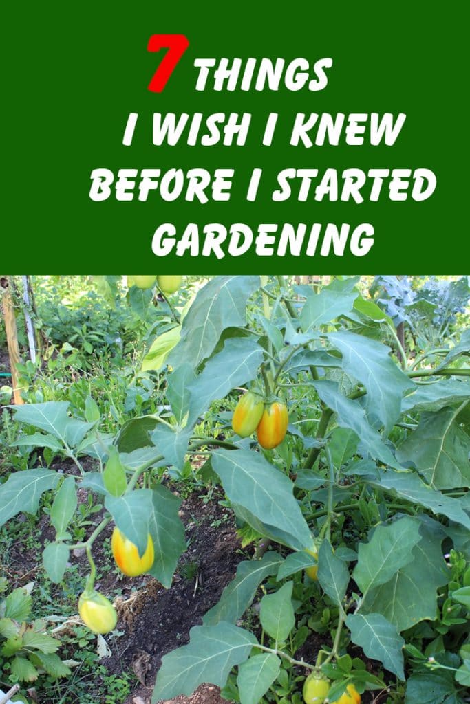 7 Things I Wish I Knew Before I Started Gardening