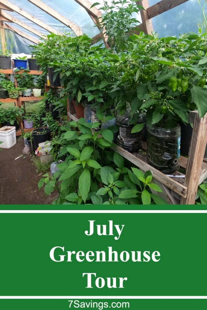 greenhouse tour